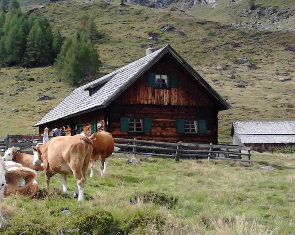 Apartament Karnerhof Mariapfarr Zewnętrze zdjęcie